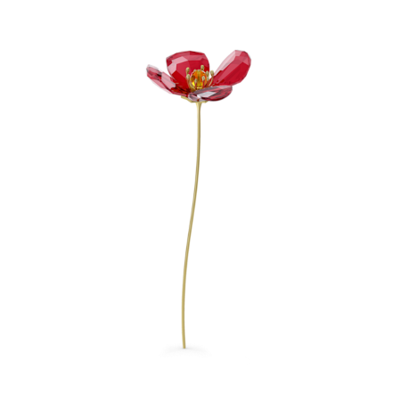 Resim Garden Tales Kırmızı Gelincik