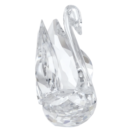 Resim Signum Kuğu, Orta Boy