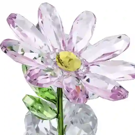 Resim Kris Ayıcık Senin İçin Bir Papatya