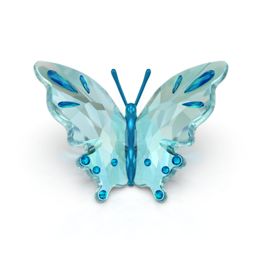 Resim Idyllia Kelebek, Turkuaz