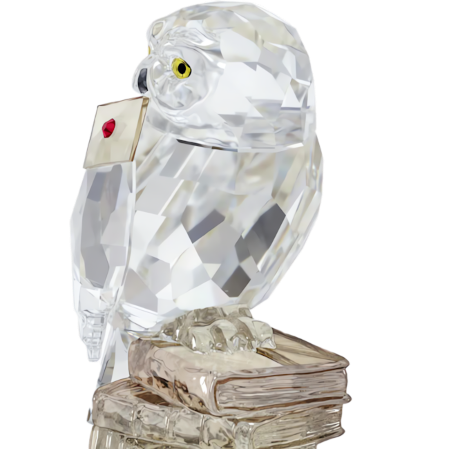 Resim Harry Potter Hedwig