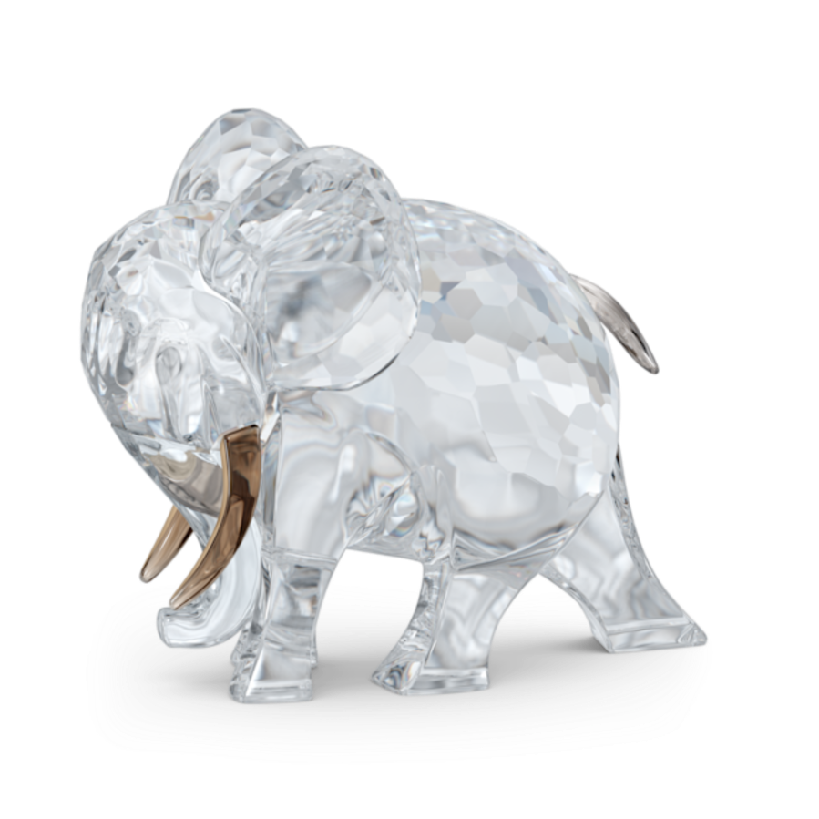 Resim African Sunset Fil Hami