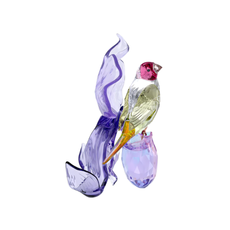 Resim Idyllia Gökkuşağı İspinozu ve Orkide