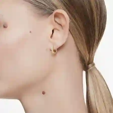 Resim Matrix halka küpeler, Yuvarlak kesim, Beyaz, Altın rengi kaplama