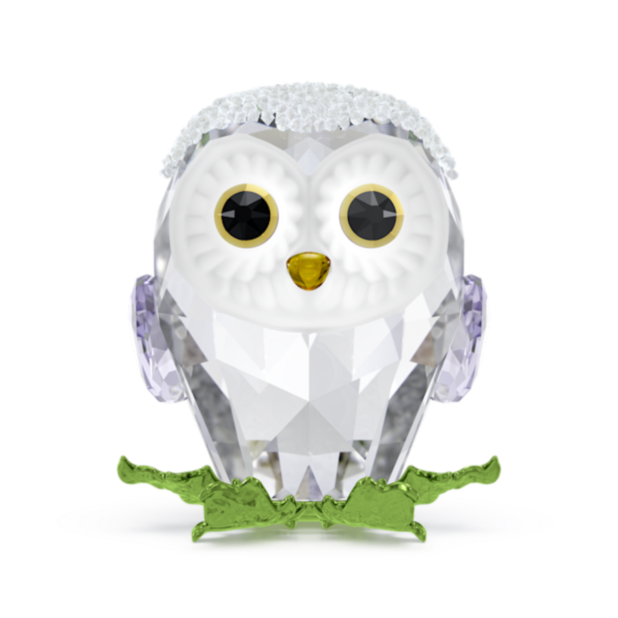 Resim Idyllia Yavru Baykuş