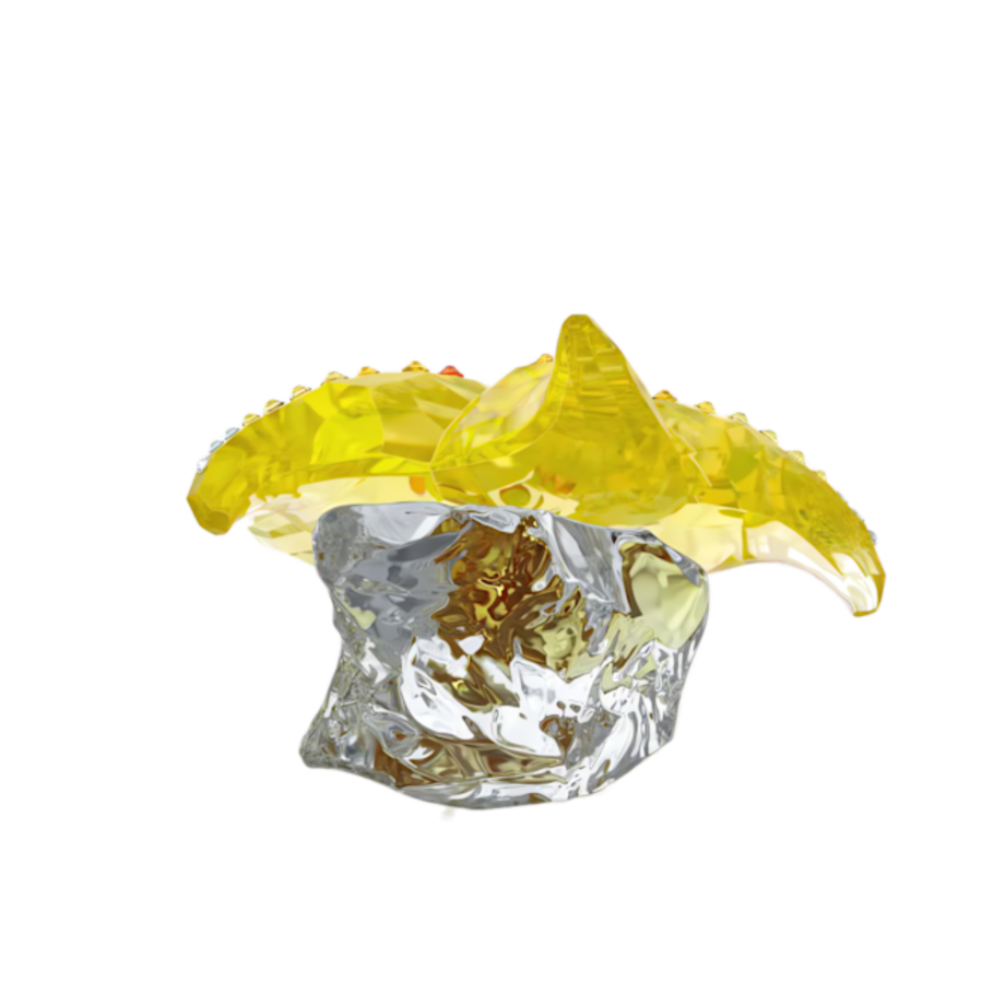 Resim Idyllia SCS Denizyıldızı