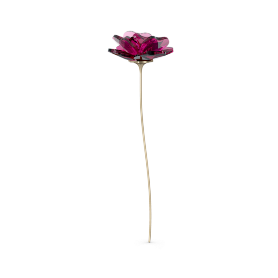 Resim Garden Tales Gül