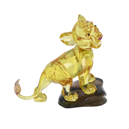 Resim The Lion King Simba