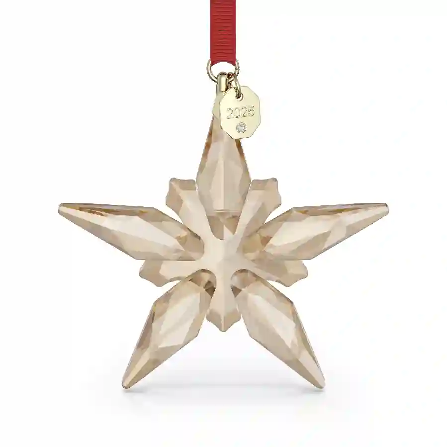 Resim Annual Edition Festive Süs 2025