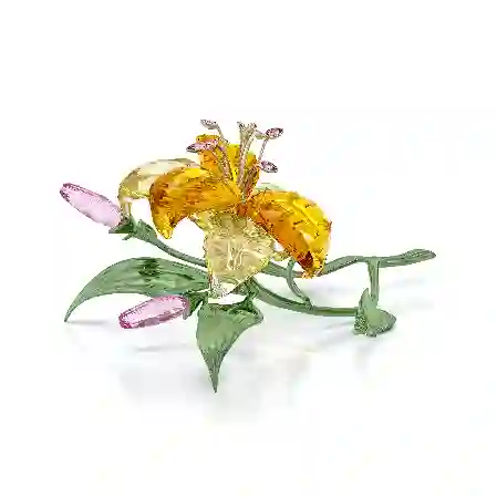 Resim Florere Zambak, Büyük boy