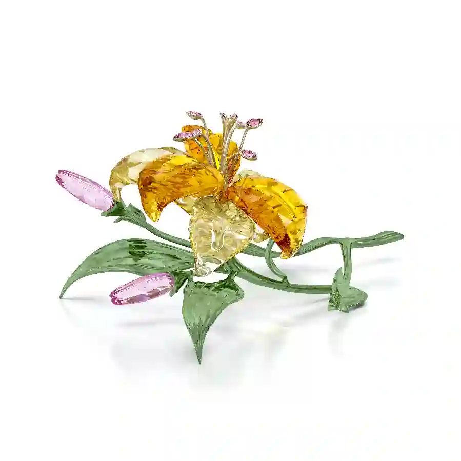 Resim Florere Zambak, Büyük boy