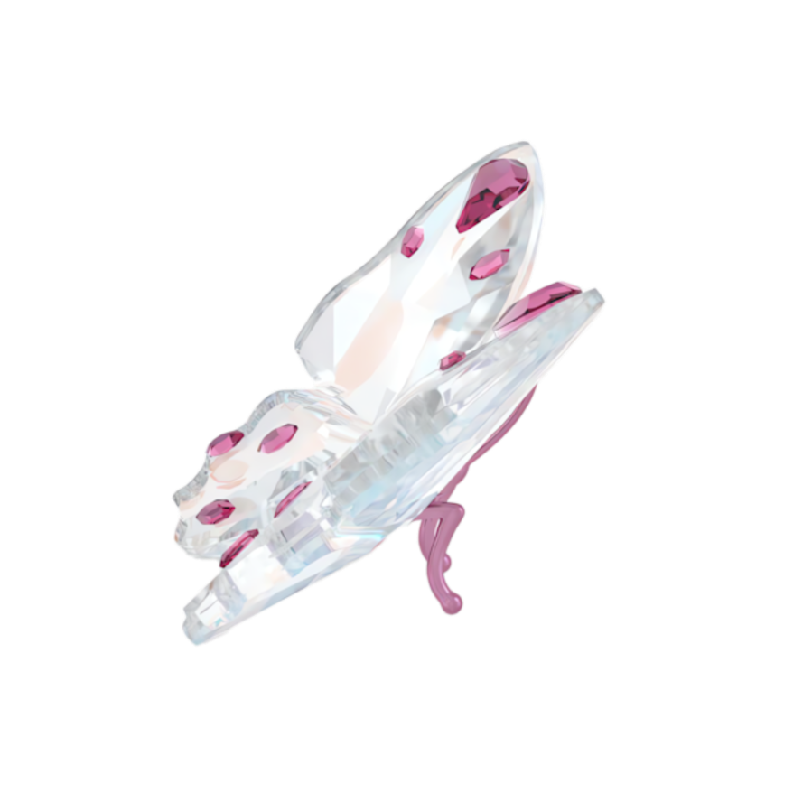 Resim Idyllia Kelebek, Küçük boy