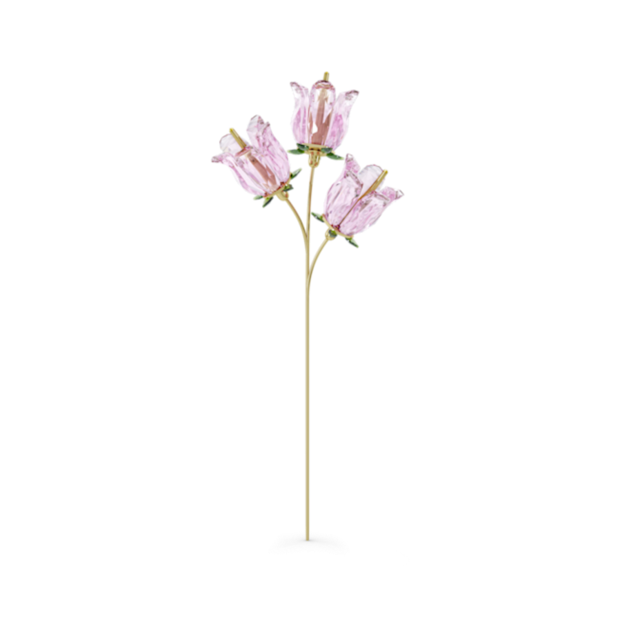 Resim Garden Tales Çançiçeği