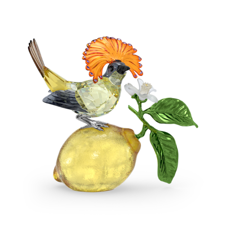 Resim Idyllia Kraliyet Sinekkapanı