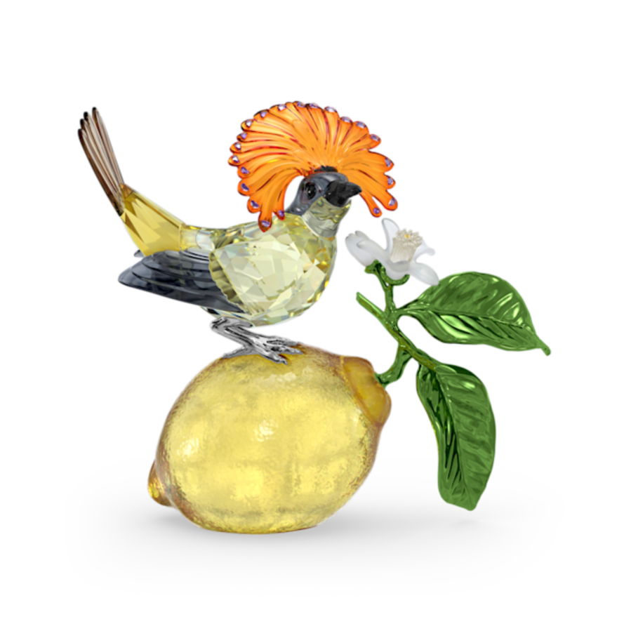 Resim Idyllia Kraliyet Sinekkapanı