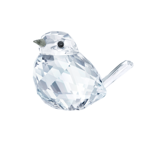 Resim Feathered Beauties Çalıkuşu