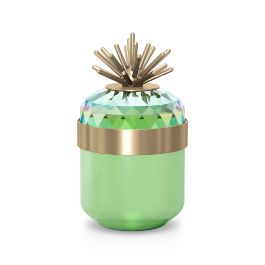 Resim Jungle Beats Dekoratif Kutu Andoki, Açık Yeşil