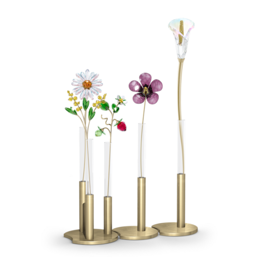 Resim Garden Tales Amber Çiçeği