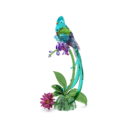 Resim Idyllia Quetzal Kuşu ve Orkide