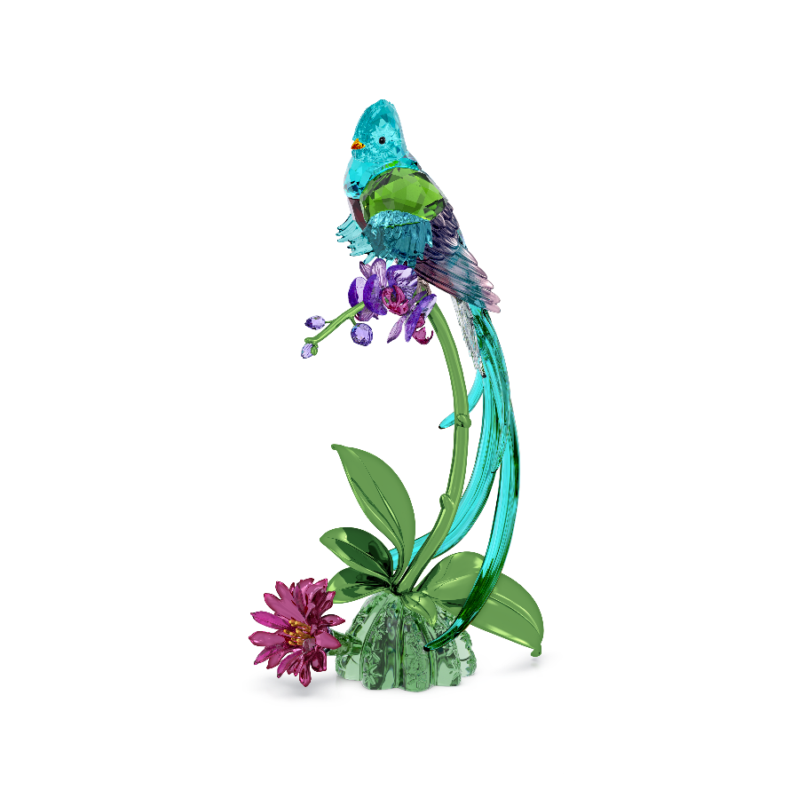 Resim Idyllia Quetzal Kuşu ve Orkide