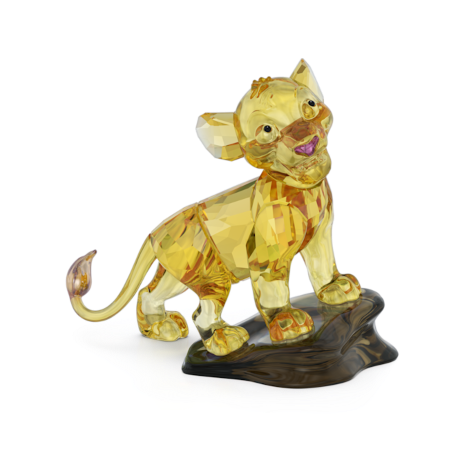 Resim The Lion King Simba