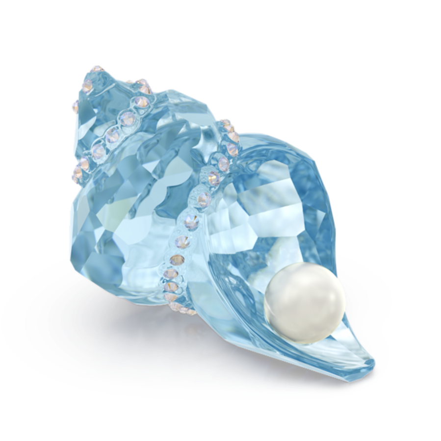 Resim Idyllia SCS Deniz Kabuğu ve İnci