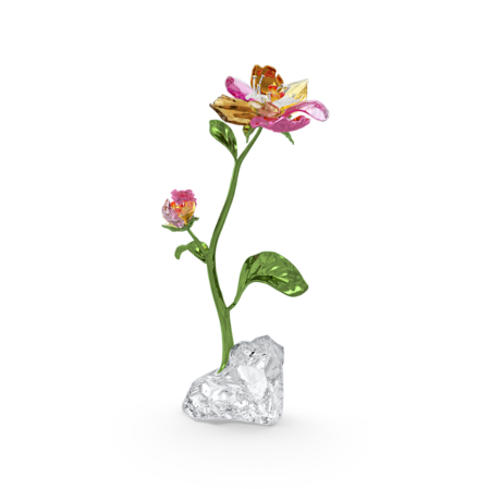 Resim Idyllia Çiçek, Büyük Boy