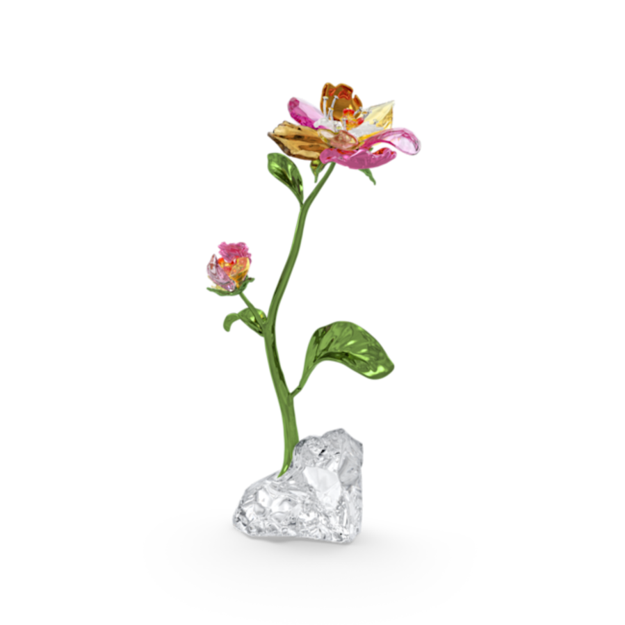 Resim Idyllia Çiçek, Büyük Boy