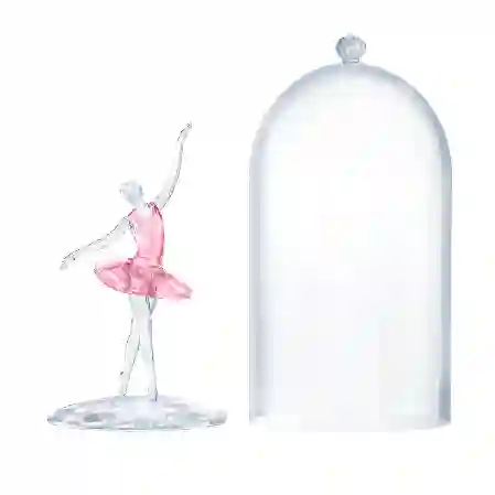 Resim Cam fanus içindeki balerin