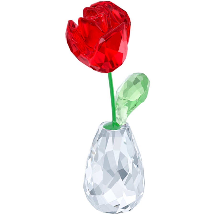 Resim Flower Dreams Gül