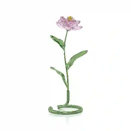 Resim Florere Şakayık