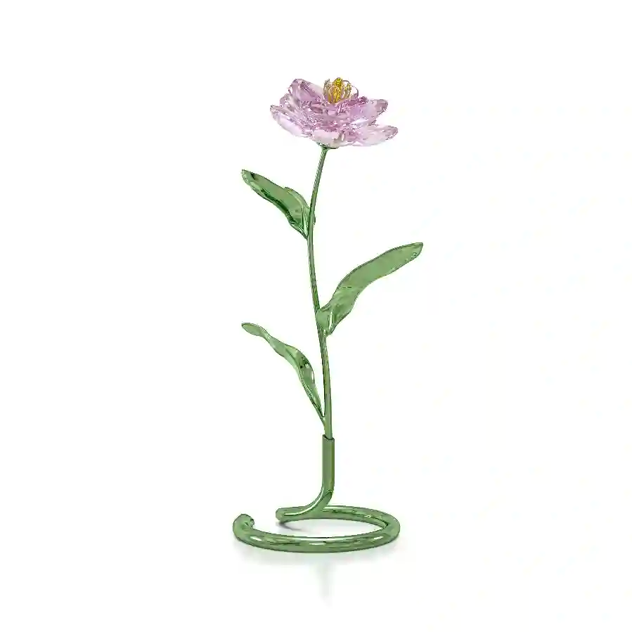 Resim Florere Şakayık