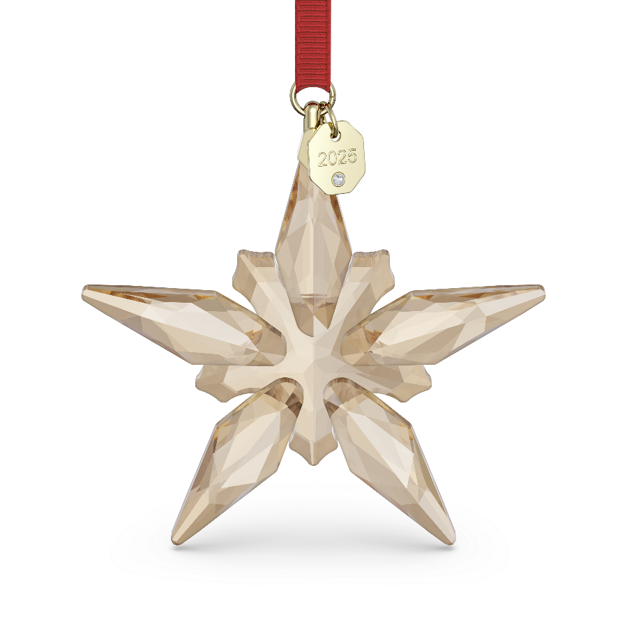 Resim Annual Edition Festive Süs 2025