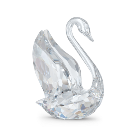 Resim Signum Kuğu, Orta Boy