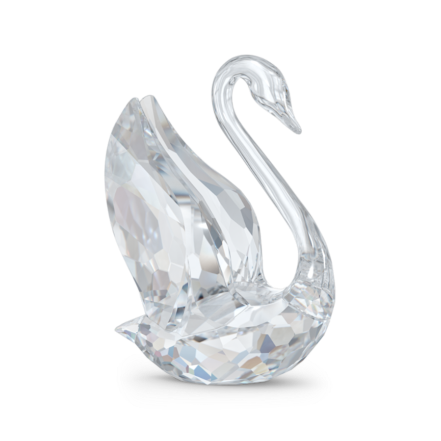 Resim Signum Kuğu, Orta Boy