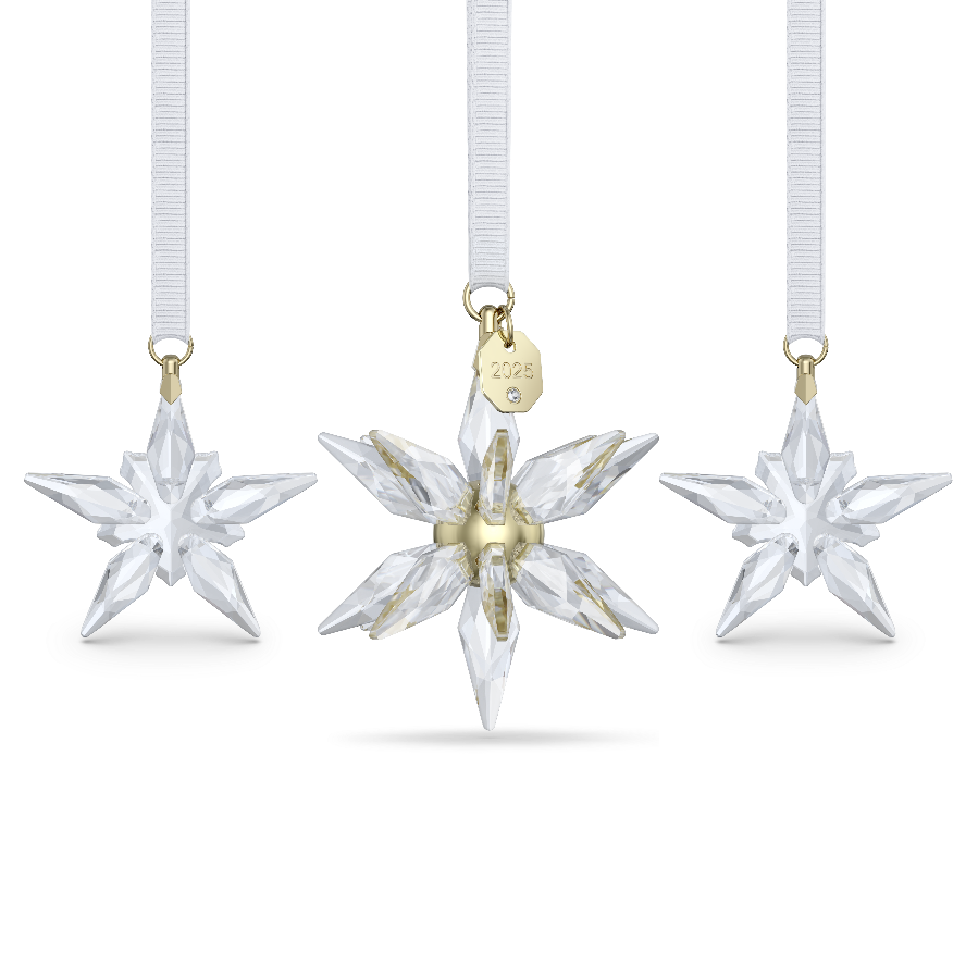 Resim Annual Edition 3 Boyutlu Süs Seti 2025