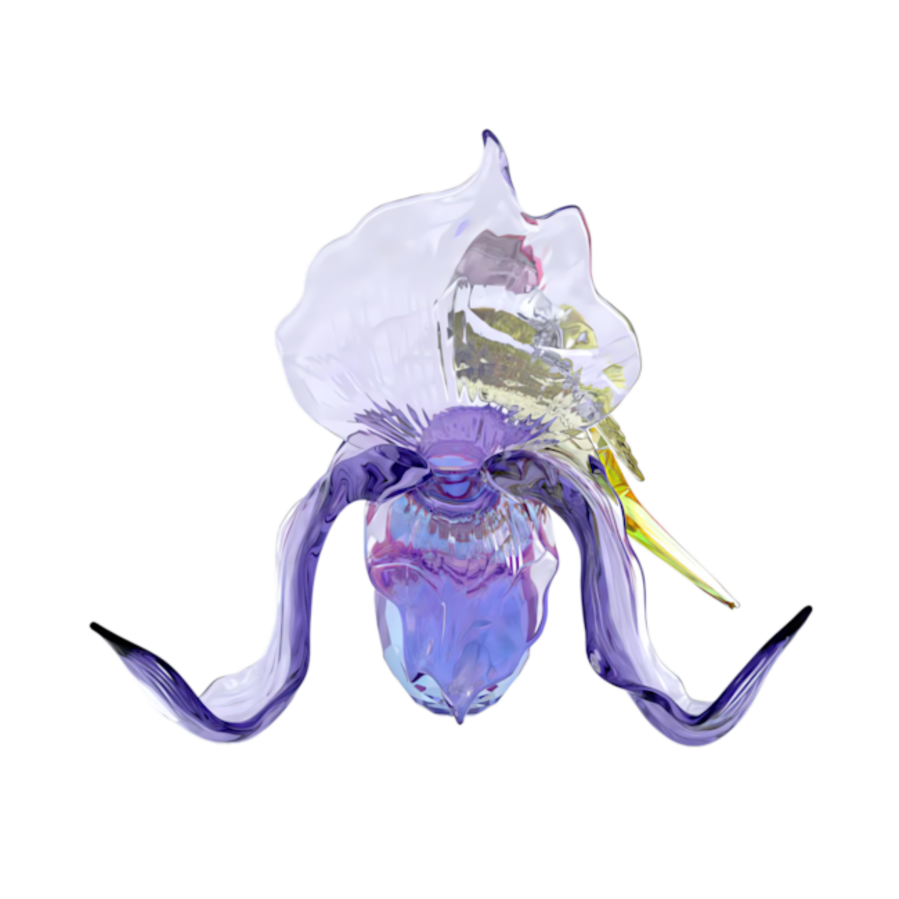 Resim Idyllia Gökkuşağı İspinozu ve Orkide