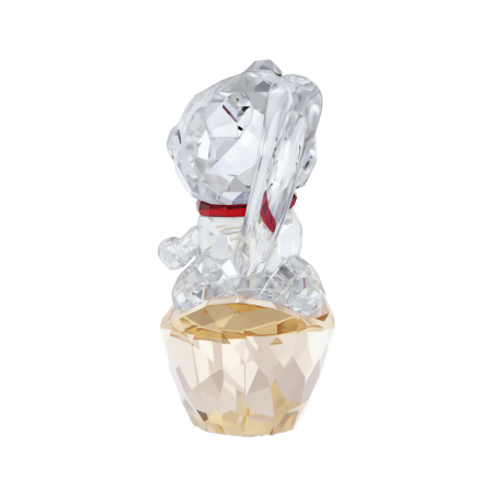 Resim Asian Symbols Şanslı Kedi