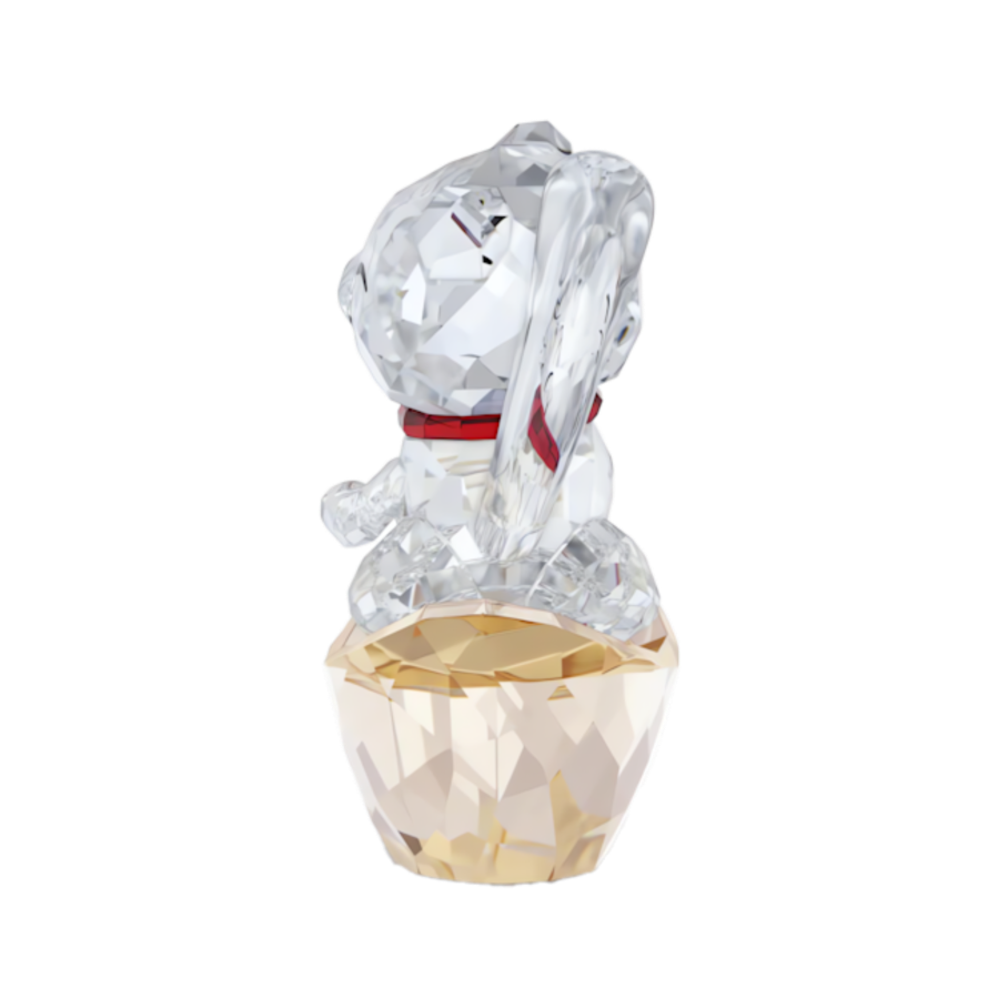 Resim Asian Symbols Şanslı Kedi