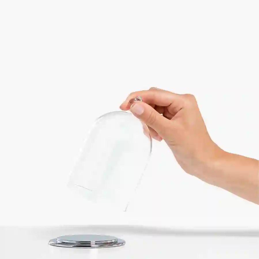 Resim Cam Fanus Sergisi, küçük boy