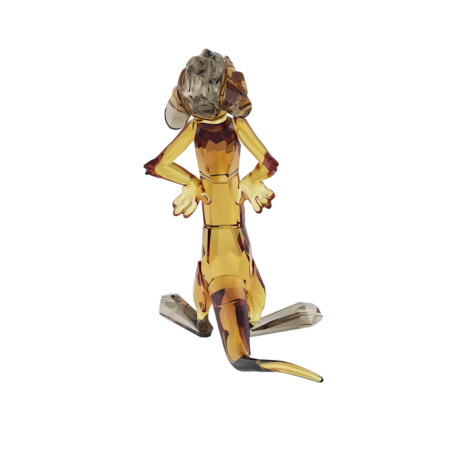 Resim The Lion King Timon