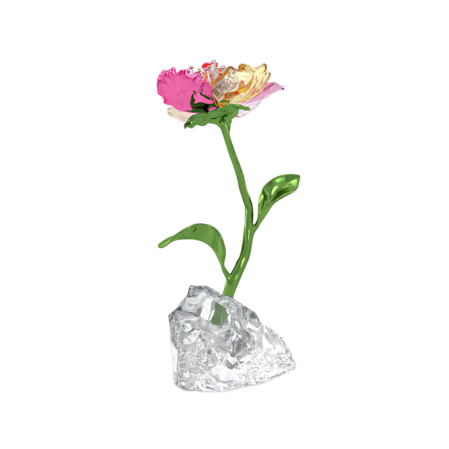 Resim Idyllia Çiçek, Küçük Boy