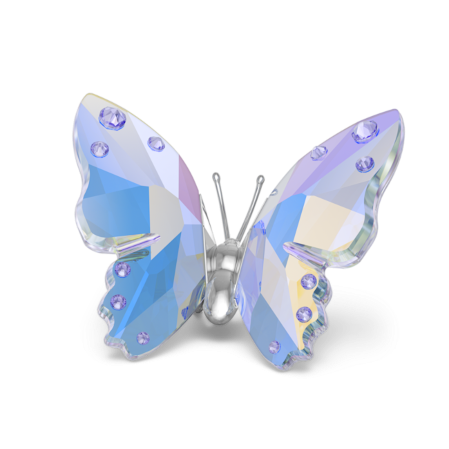 Resim ‎2026 Capsule Kelebek