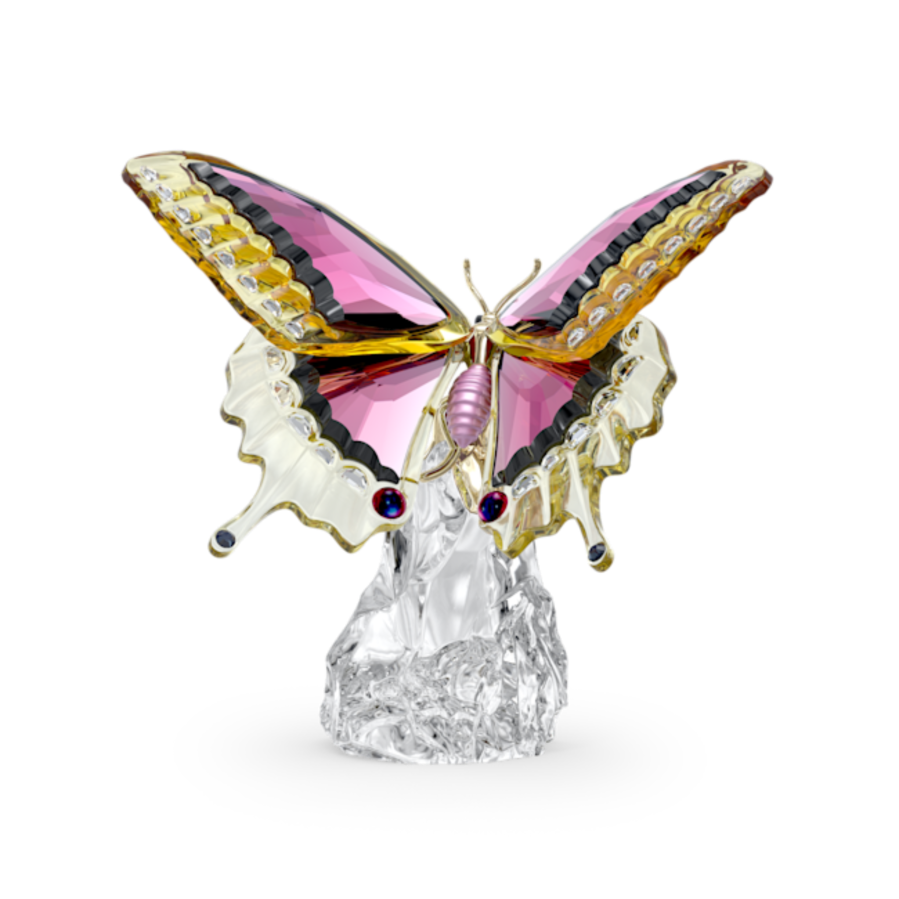 Resim Idyllia Kelebek