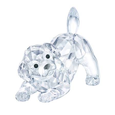 Resim Peaceful Countryside Labrador Yavru Köpek