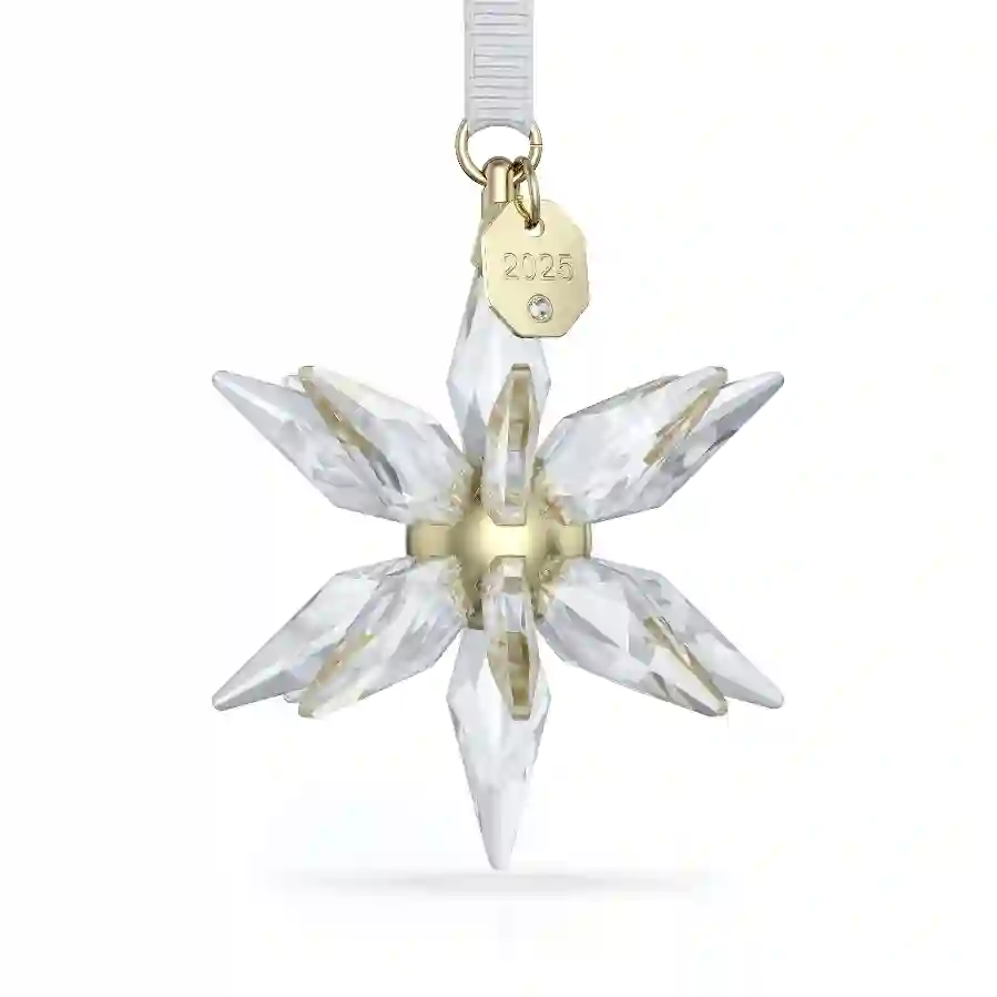 Resim Annual Edition 3 Boyutlu Süs 2025