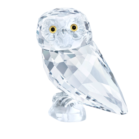 Resim Peaceful Countryside Yavru Baykuş