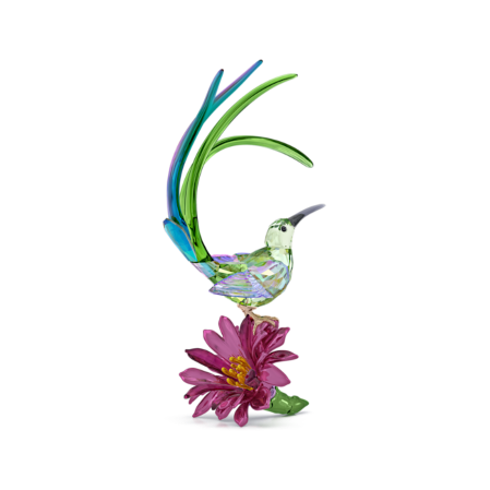 Resim Idyllia Şeker Kuşu ve Kaktüs Çiçeği