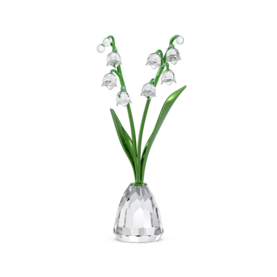 Resim Florere Müge Çiçeği