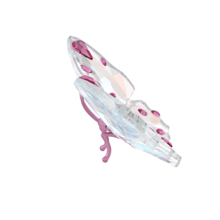 Resim Idyllia Kelebek, Küçük boy